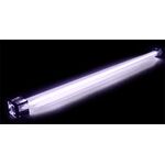 Cold Cathode Kit/30cm/Dual/White